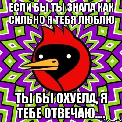 если бы ты знала как сильно я тебя люблю ты бы охуела, я тебе отвечаю...., Мем Омская птица