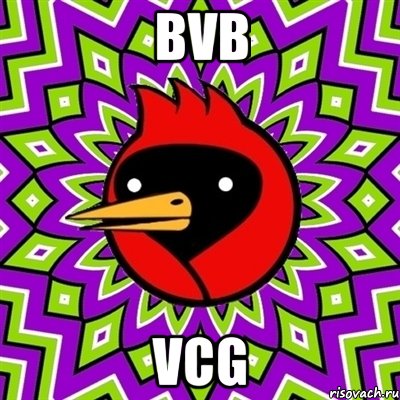 bvb vcg, Мем Омская птица