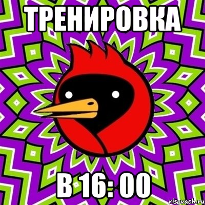 тренировка в 16: 00, Мем Омская птица