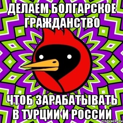 делаем болгарское гражданство чтоб зарабатывать в турции и россии, Мем Омская птица