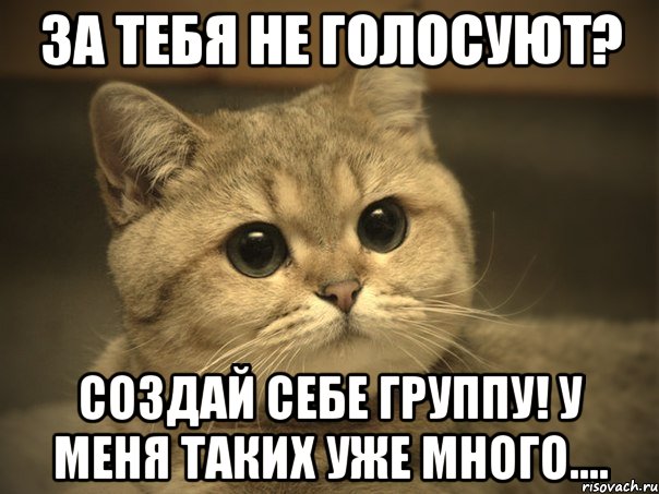 за тебя не голосуют? создай себе группу! у меня таких уже много...., Мем Пидрила ебаная котик