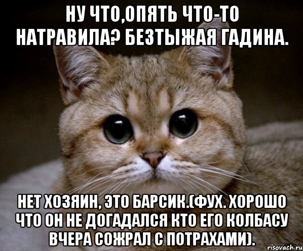 Опять заболел. Гадина. Персикова гадина. Опять что-то невразумительное. Все мясо сожрал Пидрила кот.