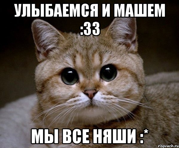 улыбаемся и машем :33 мы все няши :*, Мем Пидрила Ебаная