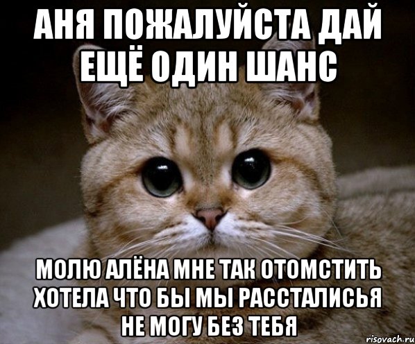 аня пожалуйста дай ещё один шанс молю алёна мне так отомстить хотела что бы мы рассталисья не могу без тебя, Мем Пидрила Ебаная