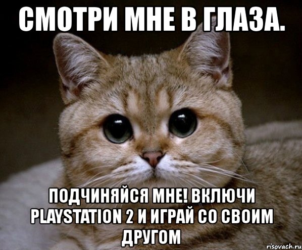 смотри мне в глаза. подчиняйся мне! включи playstation 2 и играй со своим другом, Мем Пидрила Ебаная