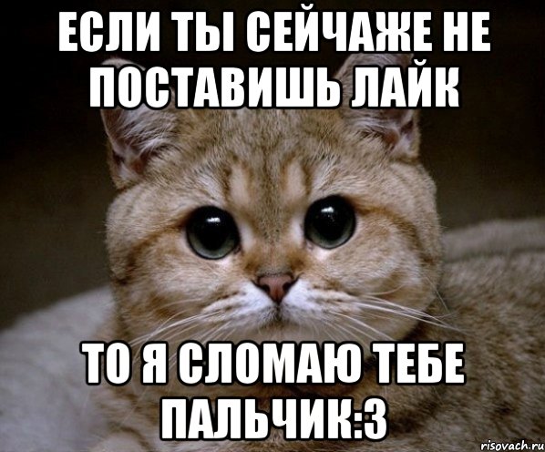 если ты сейчаже не поставишь лайк то я сломаю тебе пальчик:з, Мем Пидрила Ебаная