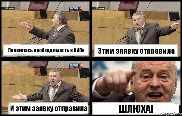 Появилась необходимость в КИПе Этим заявку отправила И этим заявку отправила ШЛЮХА!, Комикс с Жириновским