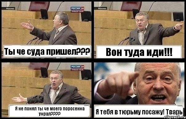 Ты че суда пришел??? Вон туда иди!!! Я не понял ты че моего поросенка украл??? Я тебя в тюрьму посажу! Тварь, Комикс с Жириновским