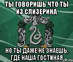 ты говоришь что ты из слизерина но ты даже не знаешь, где наша гостиная, Мем Слизерин