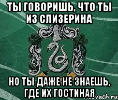 ты говоришь, что ты из слизерина но ты даже не знаешь, где их гостиная, Мем Слизерин