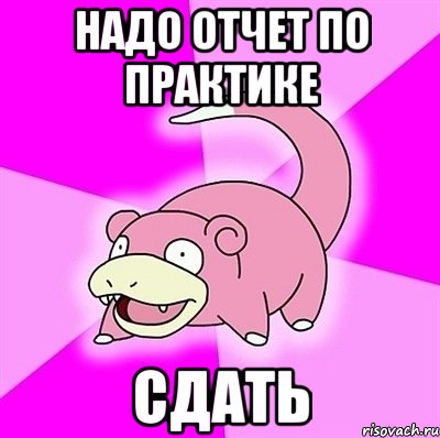 Надо отчет. Сбер слоупок. Отчет надо?. Мы сдадим практику. Не нужен отчет рисунок.