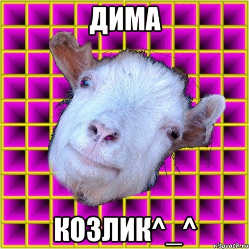 дима козлик^_^, Мем типичная коза