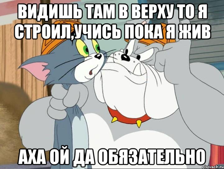 видишь там в верху то я строил,учись пока я жив аха ой да обязательно, Мем том и джерри