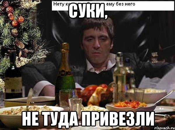 суки, не туда привезли