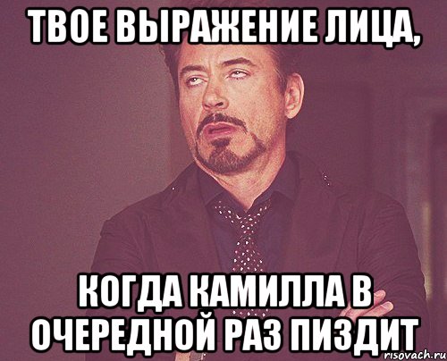 твое выражение лица, когда камилла в очередной раз пиздит, Мем твое выражение лица