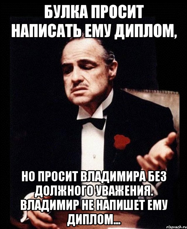 булка просит написать ему диплом, но просит владимира без должного уважения. владимир не напишет ему диплом..., Мем ты делаешь это без уважения