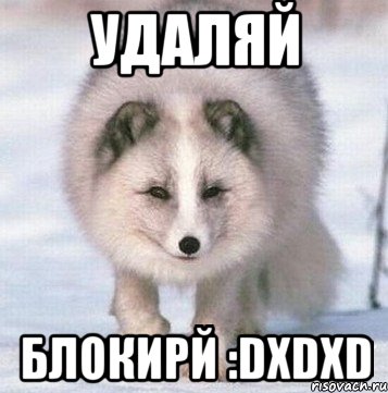 удаляй блокирй :dxdxd