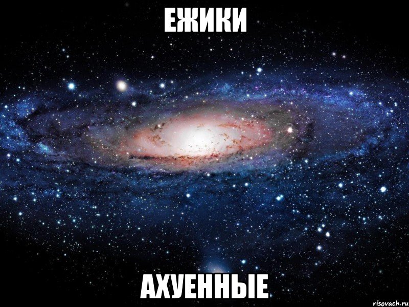 ежики ахуенные, Мем Вселенная