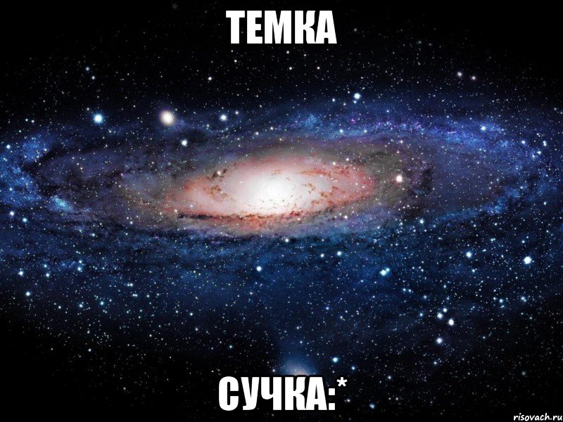 темка сучка:*, Мем Вселенная