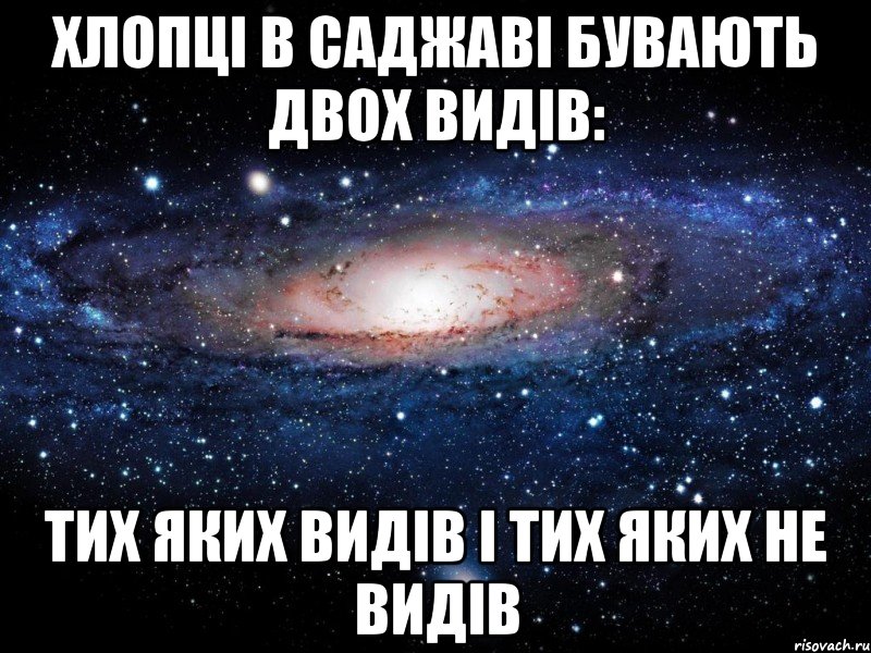 хлопці в саджаві бувають двох видів: тих яких видів і тих яких не видів, Мем Вселенная