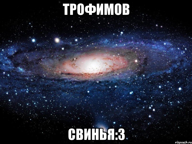 трофимов свинья:3, Мем Вселенная