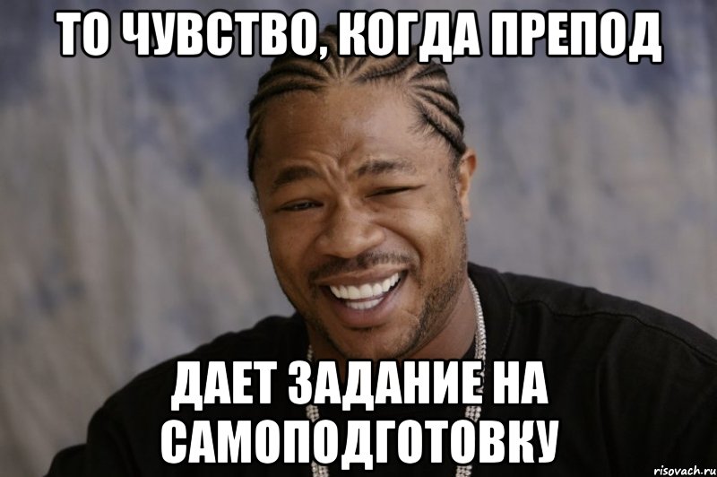 то чувство, когда препод дает задание на самоподготовку, Мем Xzibit