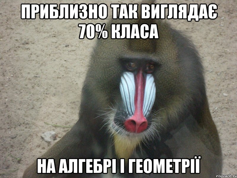 приблизно так виглядає 70% класа на алгебрі і геометрії, Мем задумчивая обезьяна