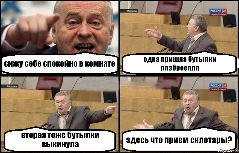 сижу себе спокойно в комнате одна пришла бутылки разбросала вторая тоже бутылки выкинула здесь что прием склотары?, Комикс Жириновский