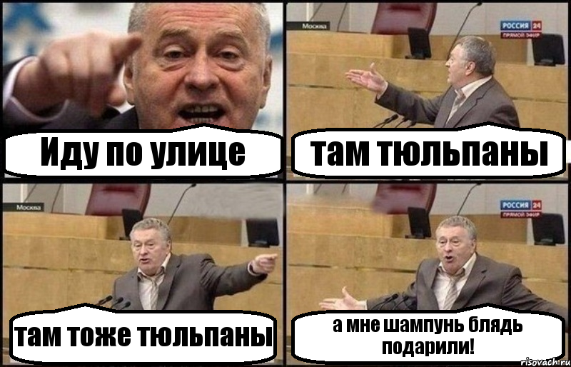 Иду по улице там тюльпаны там тоже тюльпаны а мне шампунь блядь подарили!, Комикс Жириновский