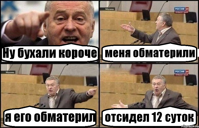 Ну бухали короче меня обматерили я его обматерил отсидел 12 суток, Комикс Жириновский