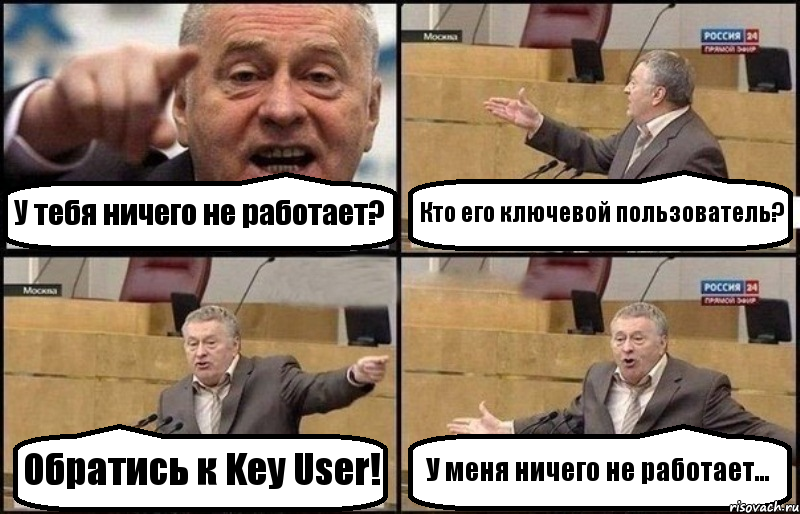 У тебя ничего не работает? Кто его ключевой пользователь? Обратись к Key User! У меня ничего не работает..., Комикс Жириновский