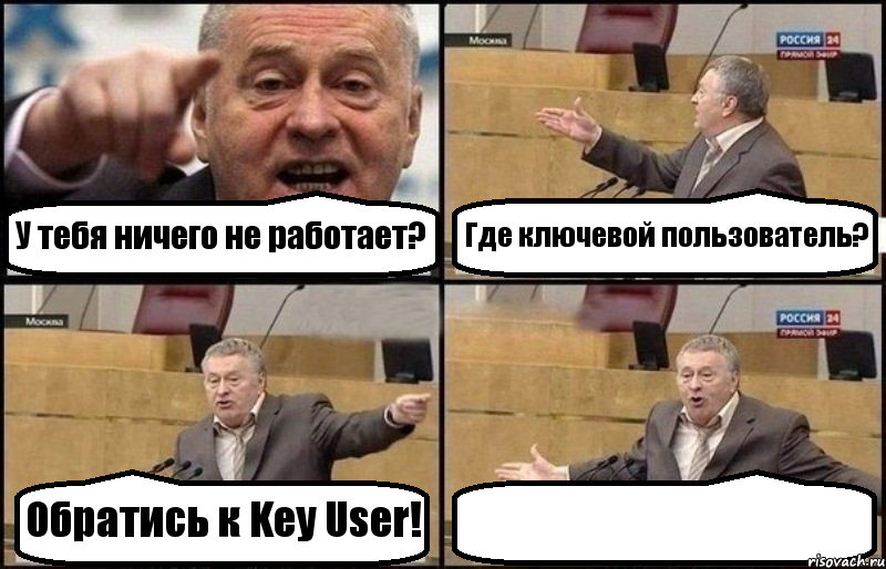 У тебя ничего не работает? Где ключевой пользователь? Обратись к Key User! , Комикс Жириновский