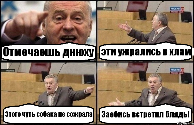 Отмечаешь днюху эти ужрались в хлам Этого чуть собака не сожрала Заебись встретил блядь!, Комикс Жириновский