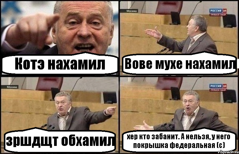 Котэ нахамил Вове мухе нахамил зршдщт обхамил хер кто забанит. А нельзя, у него покрышка федеральная (с), Комикс Жириновский