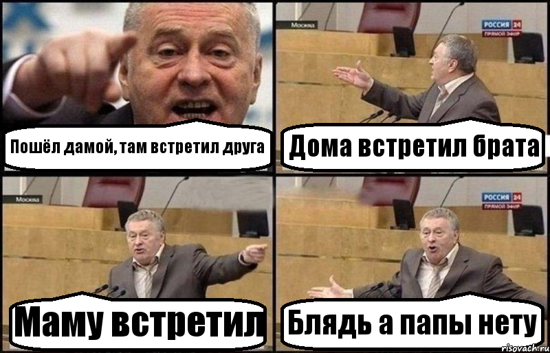 Пошёл дамой, там встретил друга Дома встретил брата Маму встретил Блядь а папы нету, Комикс Жириновский