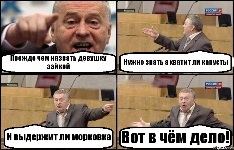 Прежде чем назвать девушку зайкой Нужно знать а хватит ли капусты И выдержит ли морковка Вот в чём дело!, Комикс Жириновский