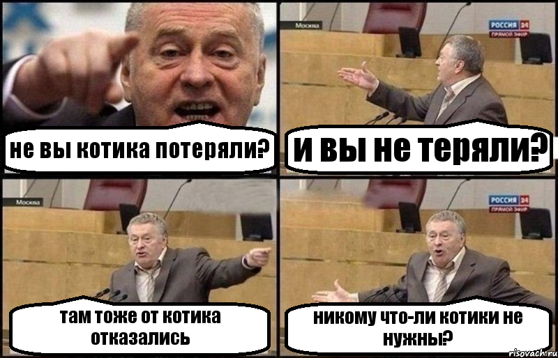 не вы котика потеряли? и вы не теряли? там тоже от котика отказались никому что-ли котики не нужны?, Комикс Жириновский