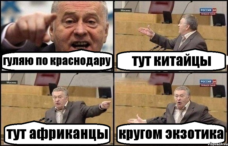 гуляю по краснодару тут китайцы тут африканцы кругом экзотика, Комикс Жириновский