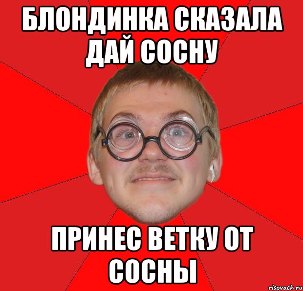 блондинка сказала дай сосну принес ветку от сосны, Мем Злой Типичный Ботан