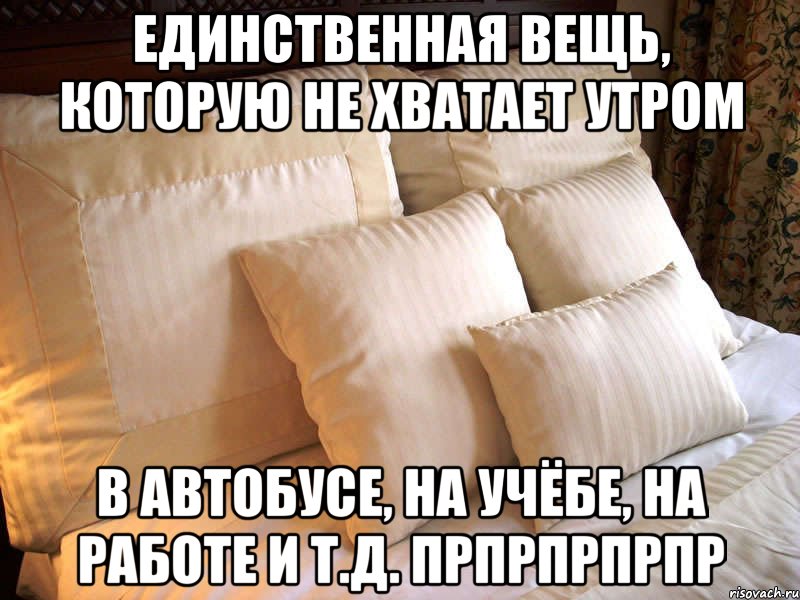 Единственный предмет. Единственная вещь. Чего не хватает по утрам. Утром на учебу. Сон как рукой сняло.