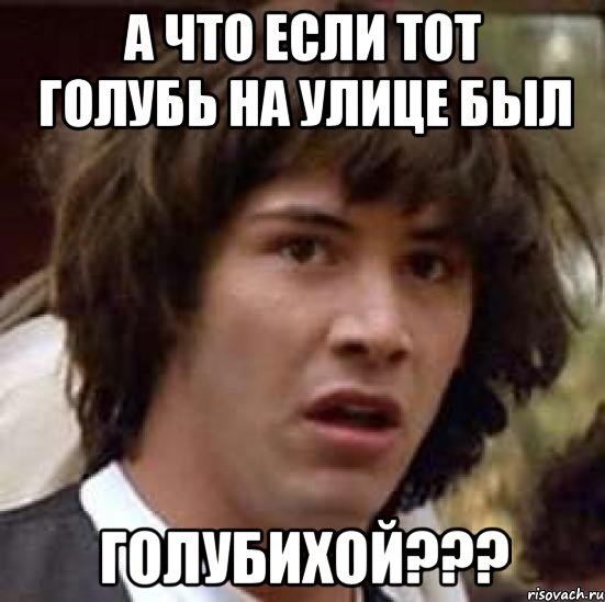 а что если тот голубь на улице был голубихой???, Мем А что если (Киану Ривз)