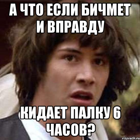 а что если бичмет и вправду кидает палку 6 часов?, Мем А что если (Киану Ривз)