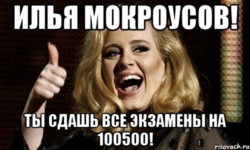 илья мокроусов! ты сдашь все экзамены на 100500!, Мем Адель