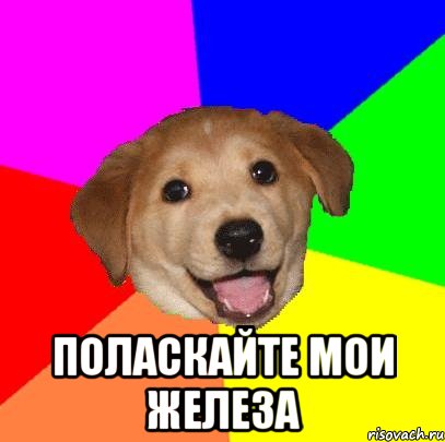  поласкайте мои железа, Мем Advice Dog