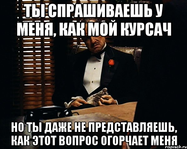 ты спрашиваешь у меня, как мой курсач но ты даже не представляешь, как этот вопрос огорчает меня, Мем Дон Вито Корлеоне