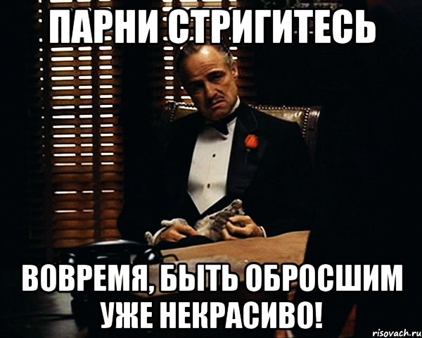 парни стригитесь вовремя, быть обросшим уже некрасиво!, Мем Дон Вито Корлеоне