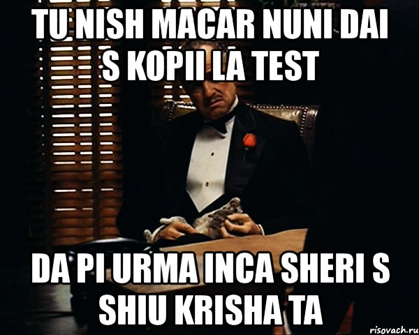 tu nish macar nuni dai s kopii la test da pi urma inca sheri s shiu krisha ta, Мем Дон Вито Корлеоне