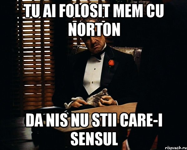 tu ai folosit mem cu norton da nis nu stii care-i sensul, Мем Дон Вито Корлеоне