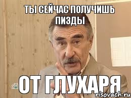 ТЫ СЕЙЧАС ПОЛУЧИШЬ ПИЗДЫ ОТ ГЛУХАРЯ, Мем Каневский (Но это уже совсем другая история)