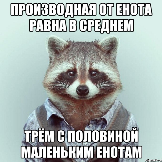 производная от енота равна в среднем трём с половиной маленьким енотам, Мем  Енот в рубашке